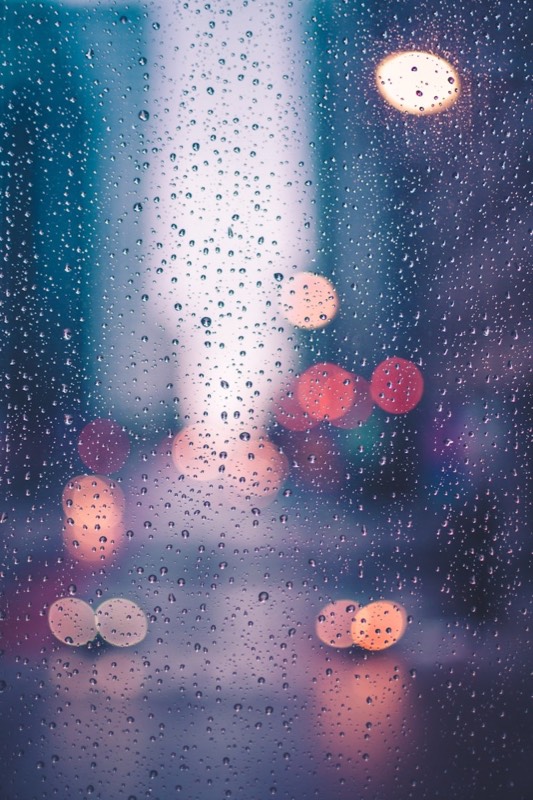 Rainy window